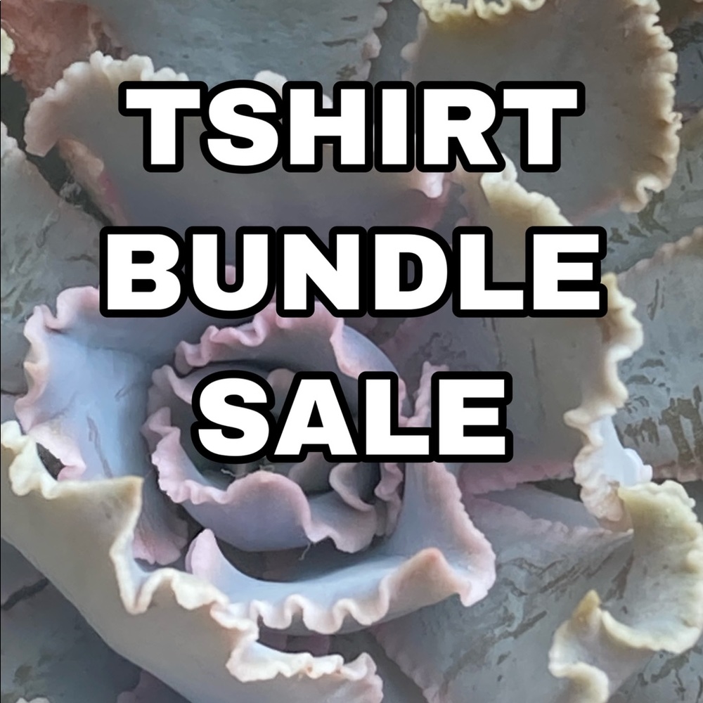 4 t-shirts for $15